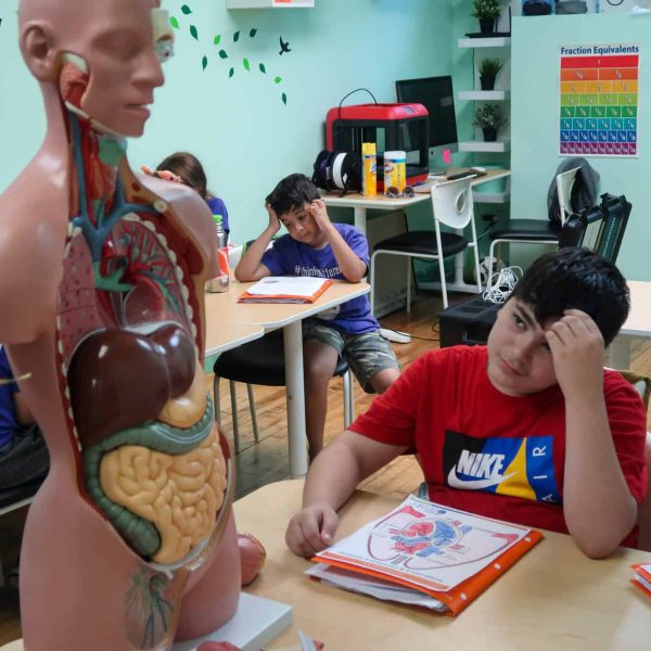 ttb summer camp human body